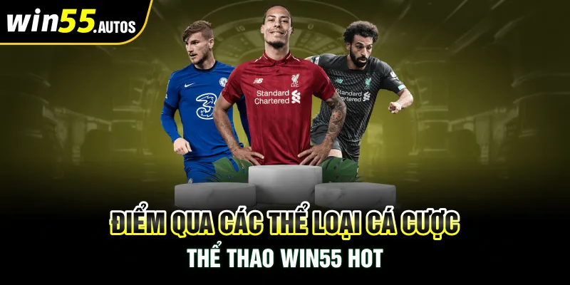 Điểm qua các thể loại cá cược thể thao WIN55 Hot