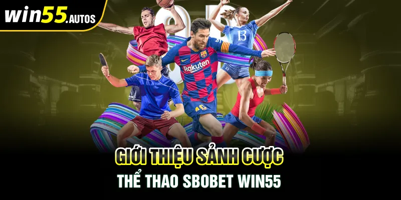 SBOBET Thắng 55