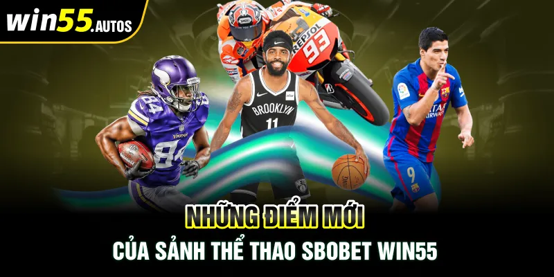 SBOBET Thắng 55