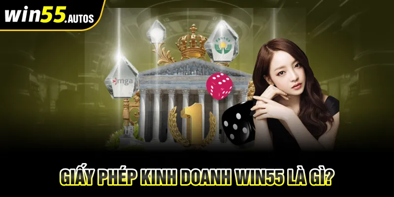 Giấy phép kinh doanh WIN55 là gì?