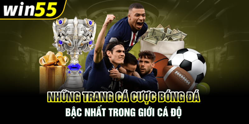 Những Trang Cá Cược Bóng Đá Bậc Nhất Trong Giới Cá Độ